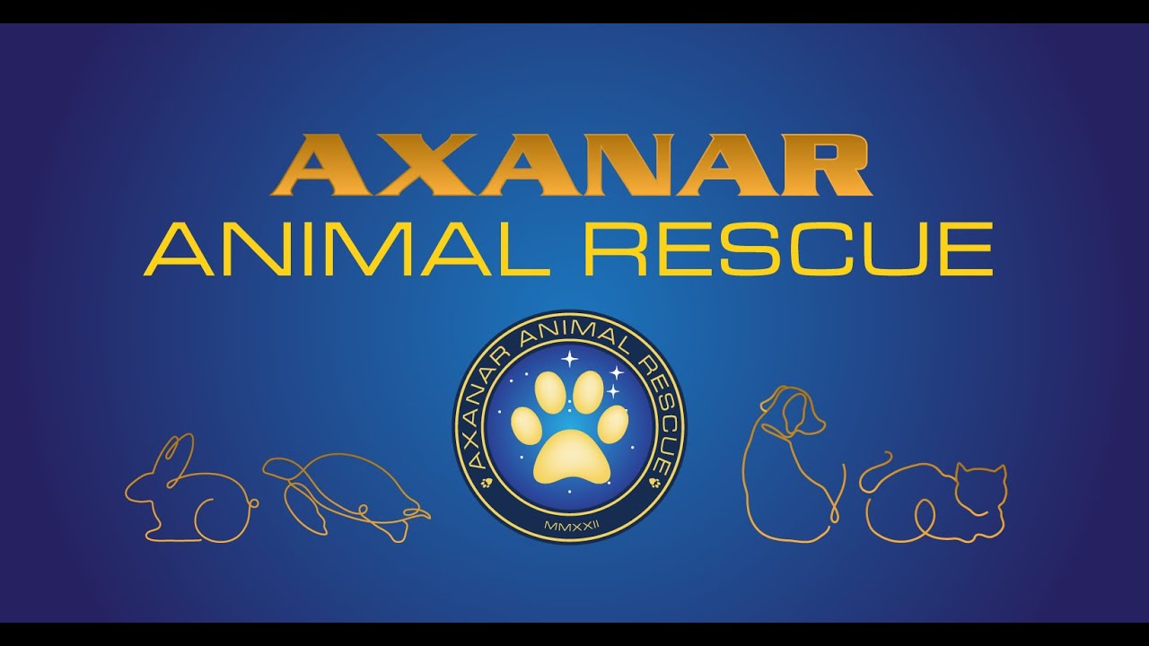 Puppy Rescue GoFundMe