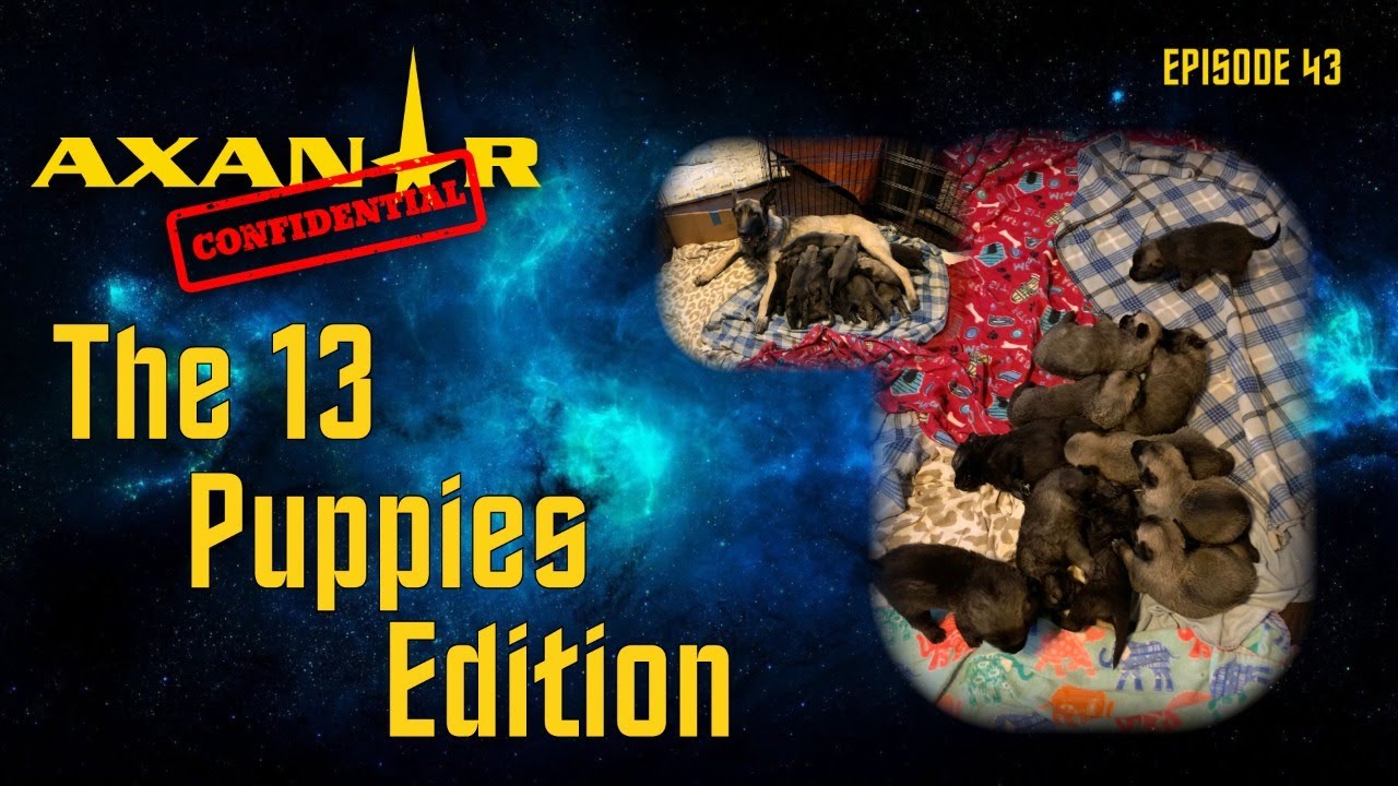 Axanar Confidential # 43 | The 13 Puppies Edition